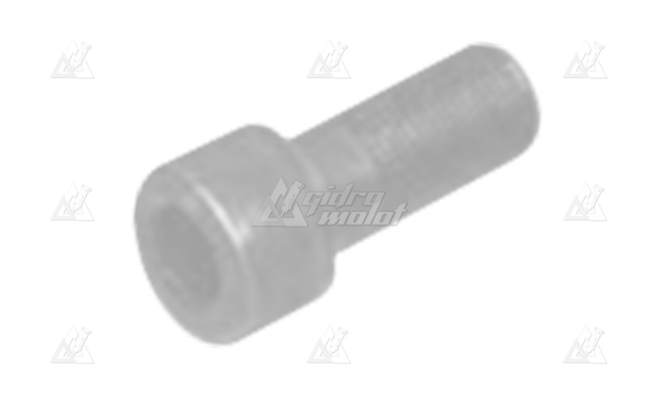 Винт крышки аккумулятора Delta F-20 (HEX. SOCKET BOLT) M18х1.5х40 DF20C-0100 картинка