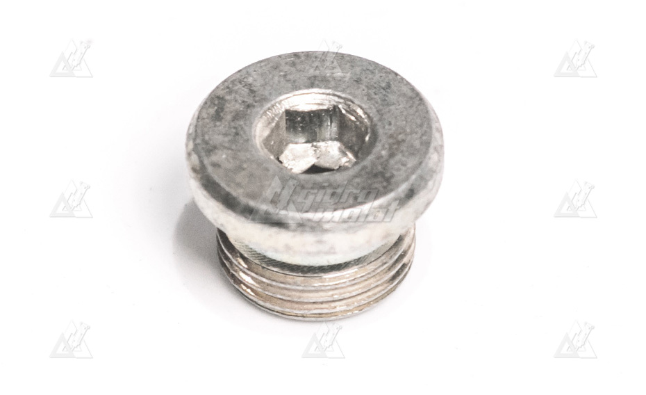 Заглушка с внутренним шестигранником PF3/8 ED-RING PLUG DF35C-0120 картинка