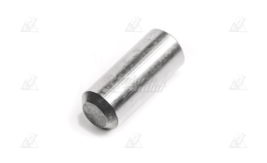 Направляющая аккумулятрной крышки Parallel pin H00090304 картинка